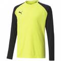 Вратарская кофта Puma teamPACER GK LS Junior 704939-42, прев. 0