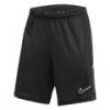 Шорти Nike Dri-FIT Academy 25 синій FZ9776-010, прев. 0