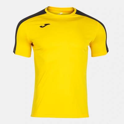 Футболка Joma Academy III 101656.901