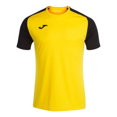 Футболка Joma ACADEMY IV 101968.901