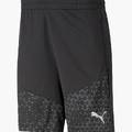 Шорты мужские Puma Shorts Teamcup Trainingsshort 657993-03, прев. 0