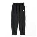 Штани спортивні Adidas YB ESS WVSTAN C Z30138, прев. 0