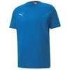Детская футболка PUMA TeamGoal Casual 656709-02