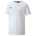 Детская футболка PUMA TeamGoal Casual 656709-04