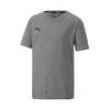 Детская футболка PUMA TeamGoal Casual 656709-33