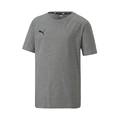Детская футболка PUMA TeamGoal Casual 656709-33