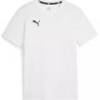 Дитяча футболка Puma JR TEAMGOAL CASUALS 658616-04