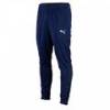 Детские штаны Puma teamRISE Poly Training 657391-06, прев. 0