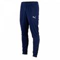 Детские штаны Puma teamRISE Poly Training 657391-06, прев. 0