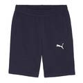 Детские шорты Puma TeamGoal 658609-06, прев. 0