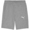 Шорты Puma teamGOAL Casuals 658608-33, прев. 0