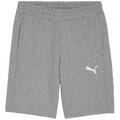 Шорты Puma teamGOAL Casuals 658608-33, прев. 0