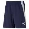 Детские шорты PUMA Teamliga Training 657250-06, прев. 0