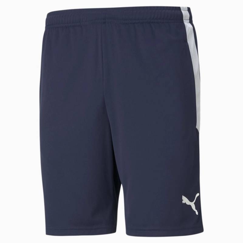 Шорти Puma Teamliga Training Shorts Blue 657249-06, рис. 0