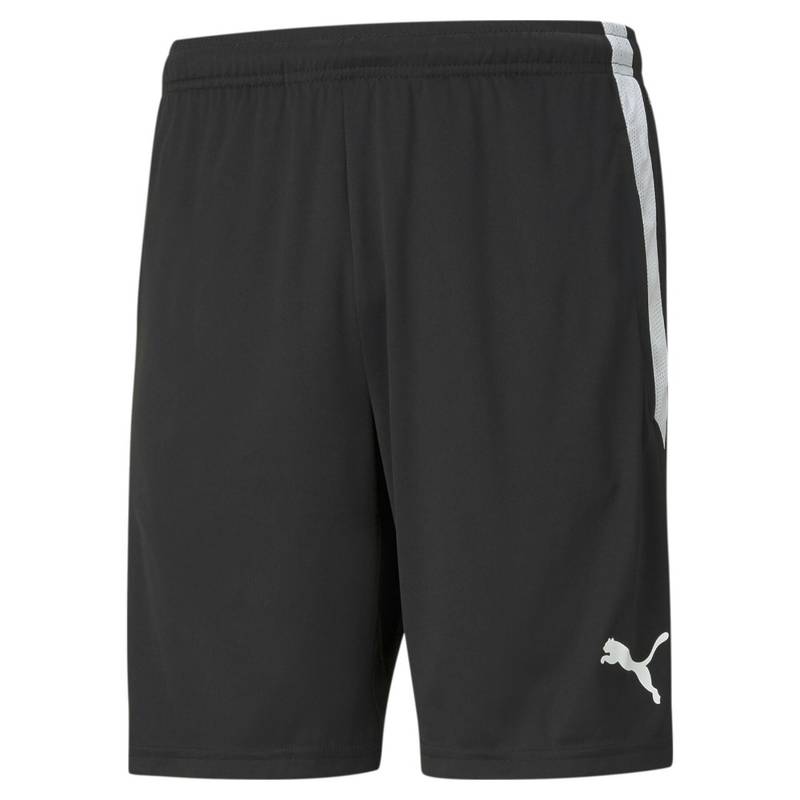 Шорти Puma Teamliga Training Shorts 657249-03, рис. 0