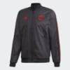Ветровка Adidas Manchester United DP2327, прев. 0