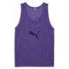 Манишка футбольная Puma Bib 657251-52, прев. 0