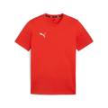 Футболка Puma Team Goal Casuals 658615-01, прев. 0