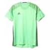 Воротарська футболка Adidas Camiseta AA0406, прев. 0