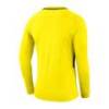 Вратарский джемпер Nike Dry Park III 894509-741, прев. 1