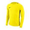 Вратарский джемпер Nike Dry Park III 894509-741, прев. 0