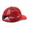 Кепка-тракер 47 Brand DETROIT RED WINGS RED BRANSON червоний, зелений Уні OSFA DT-H-BRANS05CTP-RDD, прев. 1
