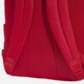 Рюкзак Adidas CLSC BARS 3S 27,5L рубіновий Уні 15х31х44 см DT-IS7043, прев. 5