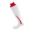 Гетри футбольні PUMA PowerCat 5.10 700781-12, прев. 1
