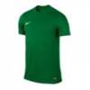 Дитяча спортивна футболка Nike Park VI зелена 725984-302, прев. 0
