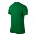 Дитяча спортивна футболка Nike Park VI зелена 725984-302, прев. 1