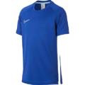 Дитяча футболка Nike Academy AO0739-480, прев. 0