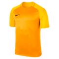 Детская футболка Nike Trophy III SS 881484-739, прев. 0