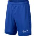 Детские шорты Nike Academy AO0771-480, прев. 0