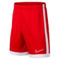 Детские шорты Nike Academy AO0771-657, прев. 0