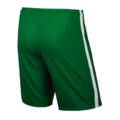Детские шорты Nike League 725990-302, прев. 1