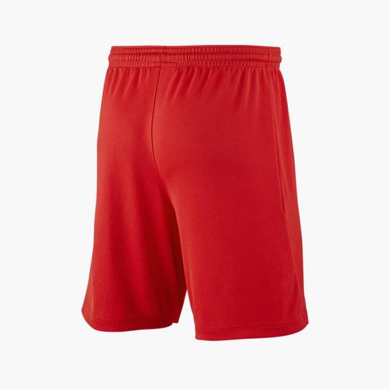 Детские шорты NIKE PARK III BV6865-657, рис. 1