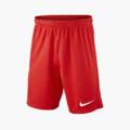 Дитячі шорти NIKE PARK III BV6865-657