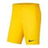 Детские шорты NIKE PARK III BV6865-719