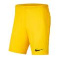Дитячі шорти NIKE PARK III BV6865-719