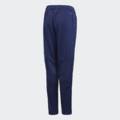 Дитячі штани Adidas CONDIVO18 TR Y CV8245, прев. 1