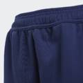 Дитячі штани Adidas CONDIVO18 TR Y CV8245, прев. 2