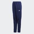 Дитячі штани Adidas CONDIVO18 TR Y CV8245, прев. 0