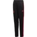 Детские штаны Adidas MUFC CW7596, прев. 0
