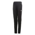 Дитячі штани Adidas Tango Training CZ5561, прев. 0