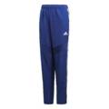 Дитячі штани Adidas Tiro DT5781, прев. 0