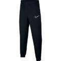 Детские штаны Nike Academy AR7994-014, прев. 0