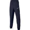 Дитячі штани Nike Academy AR7994-452, прев. 0
