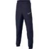 Детские штаны Nike Academy AR7994-452, прев. 0
