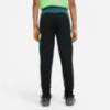 Детские штаны Nike Academy CT2411-014, прев. 1