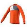 Детский реглан вратаря Adidas Assita 17 GK AZ5402_JR, прев. 0